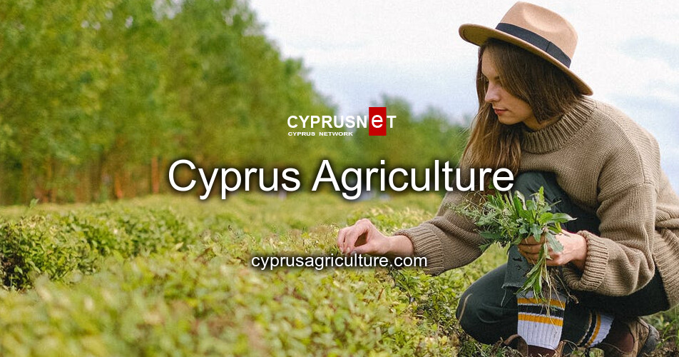 (c) Cyprusagriculture.com